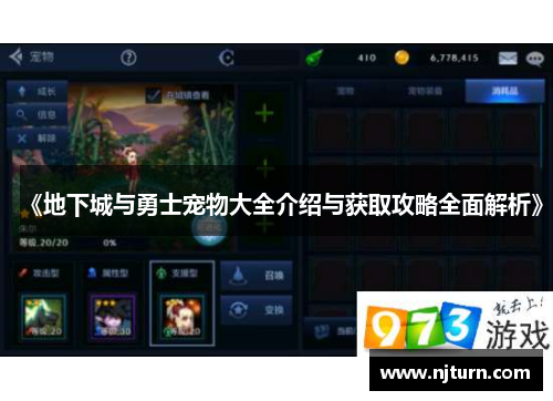 《地下城与勇士宠物大全介绍与获取攻略全面解析》