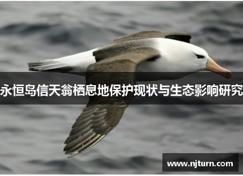 永恒岛信天翁栖息地保护现状与生态影响研究 永恒岛信天翁栖息地保护现状与生态影响研究